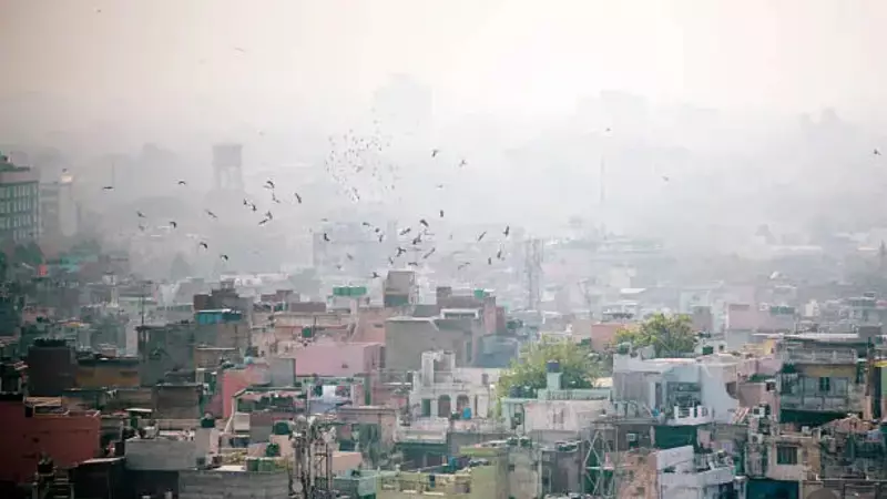 10 Subtle Signs Air Pollution Is Harming Your Health in India