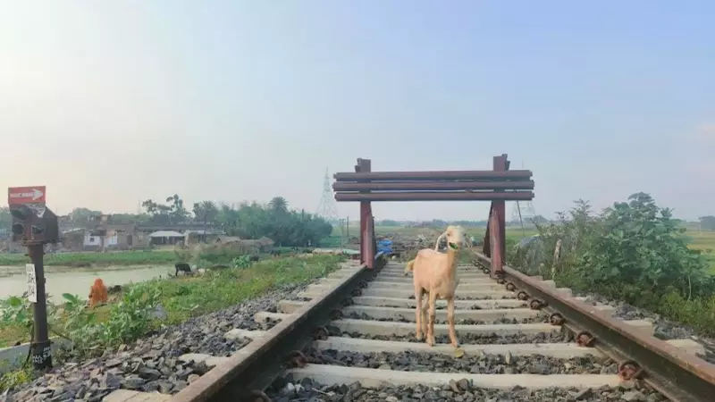 28-Year Wait: 53 Railway Projects Stuck in Bihar Since 1996