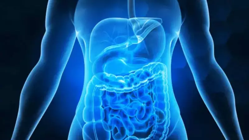 6 Yoga Poses for Better Digestion: Boost Your Gut Health Naturally