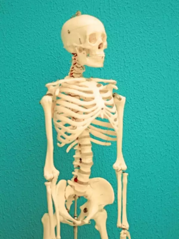 8 Proven Ways to Boost Bone Density Naturally