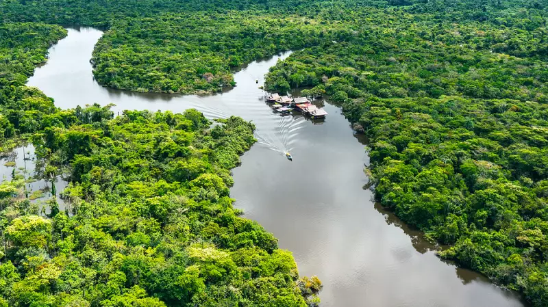 Amazon's Climate Time Machine: Scientists Race Against Deforestation Ahead of COP30