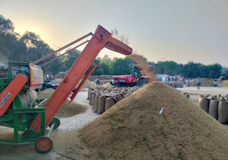 Ambala Farmers Demand Investigation Into Rice Mill Arrivals | Supply Chain Under Scanner