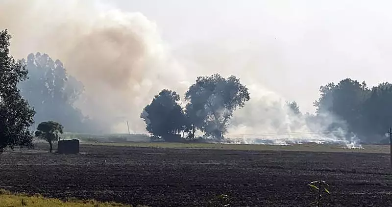 Amritsar Farm Fires Drop 56% This Year, Major Environmental Win