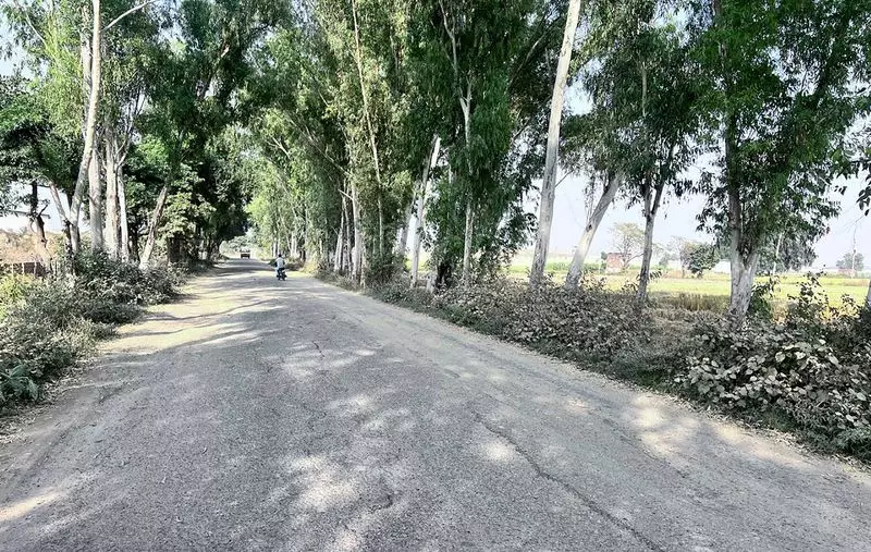 Amritsar's Khasa-Bakna Road Nightmare: Commuters Face Daily Danger on Crumbling Infrastructure