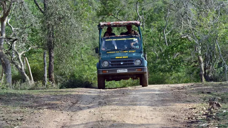 Bandipur Safari Controversy: Forest Department Vehicle, Not Private Director, Spotted With Drone