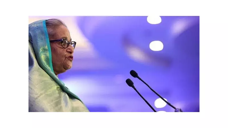 Bangladesh-Pakistan Relations Warm After Sheikh Hasina's Exit, Says Envoy