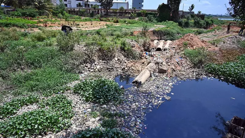 Bellandur Lake Rejuvenation Deadline Extended to March 2026