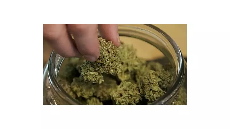 Bengaluru Customs Makes Massive Drug Bust: ₹37.88 Crore Worth of Narcotics Seized in Major Crackdown