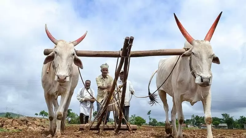 Bengaluru Farmers Demand Fair Compensation for Business Corridor | Legal Standoff Continues