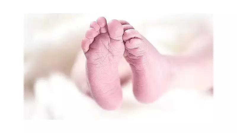 Bengaluru Hospital Under Scrutiny After Mother Flees With Newborn Girl