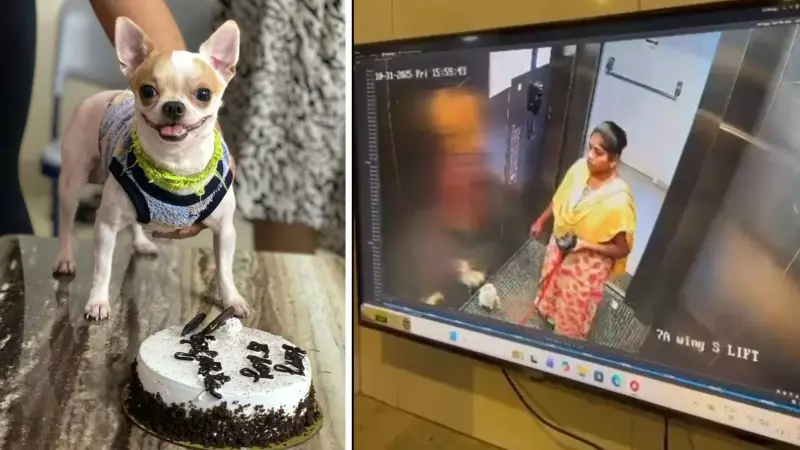 Bengaluru Housemaid Arrested for Allegedly Killing Employer's Dog in Shocking Lift Incident