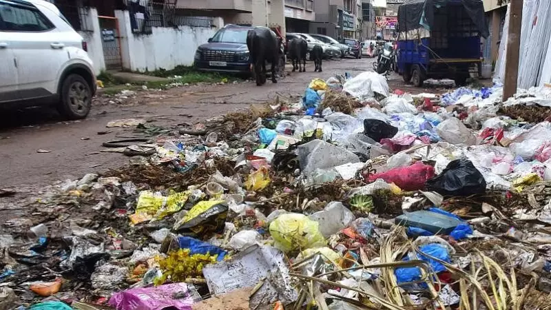 Bengaluru's Bold Move: Earn ₹250 for Reporting Illegal Garbage Dumping - Fact or Fiction?