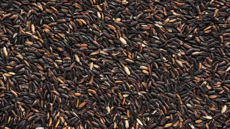 Black Rice: The Forbidden Superfood You Need in Your Diet Now!