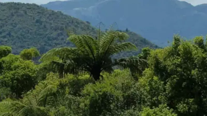 Breaking: Centre Proposes Major Transport Overhaul - Uniform Penalties for Vehicles Nationwide