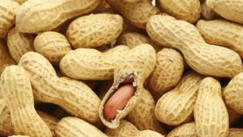 Breakthrough Study: Introducing Peanut Powder to 6-Month-Olds Can Prevent Peanut Allergies