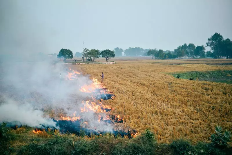 CAQM Team Inspects Punjab's Paddy Residue Management: Can Stubble Burning Crisis Be Averted?