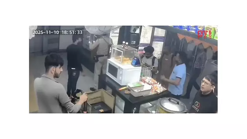 CCTV Footage Reveals Panic at Red Fort Metro During Car Blast