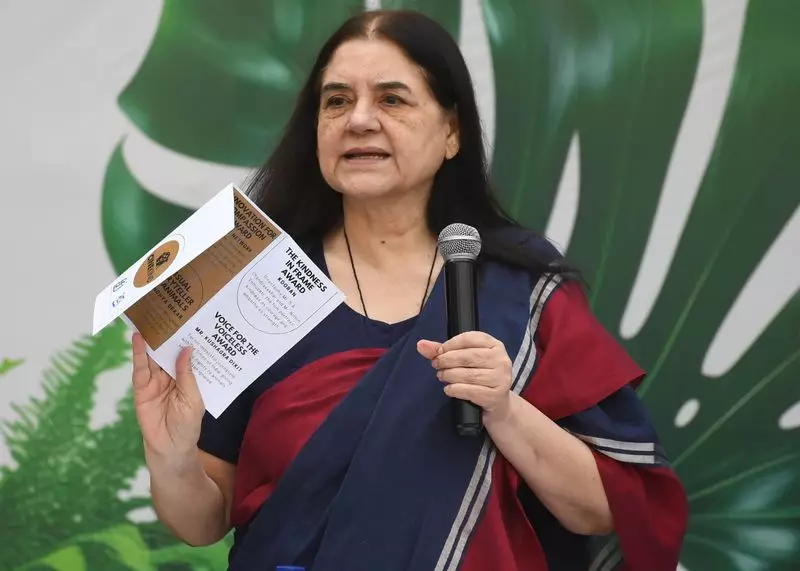 Cinekind Awards Launch to Honor Humane Storytelling in Cinema