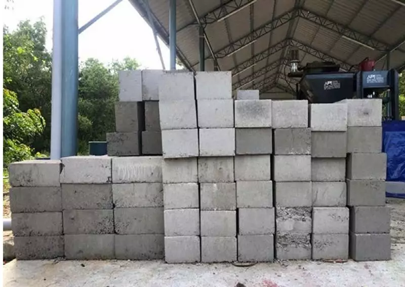 CSIR Transforms Hazardous Foundry Sand into Eco-Friendly Bricks