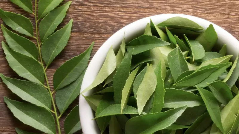 Curry Patta Magic: 8 Surprising Health Benefits of Adding Curry Leaves to Your Daily Diet