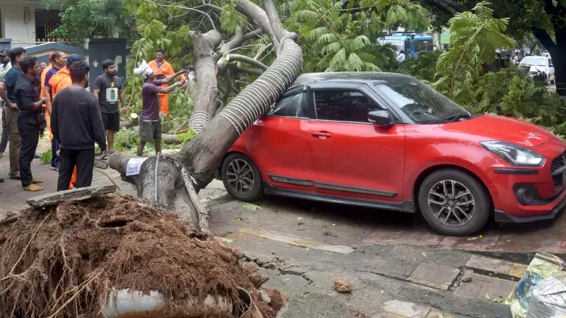 Cyclone Mocha Batters Andhra Coast: Landfall Complete, Heavy Rains Lash Odisha
