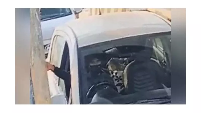 Delhi Blast Suspect Umar Un Nabi Spotted at Haryana Toll Plaza