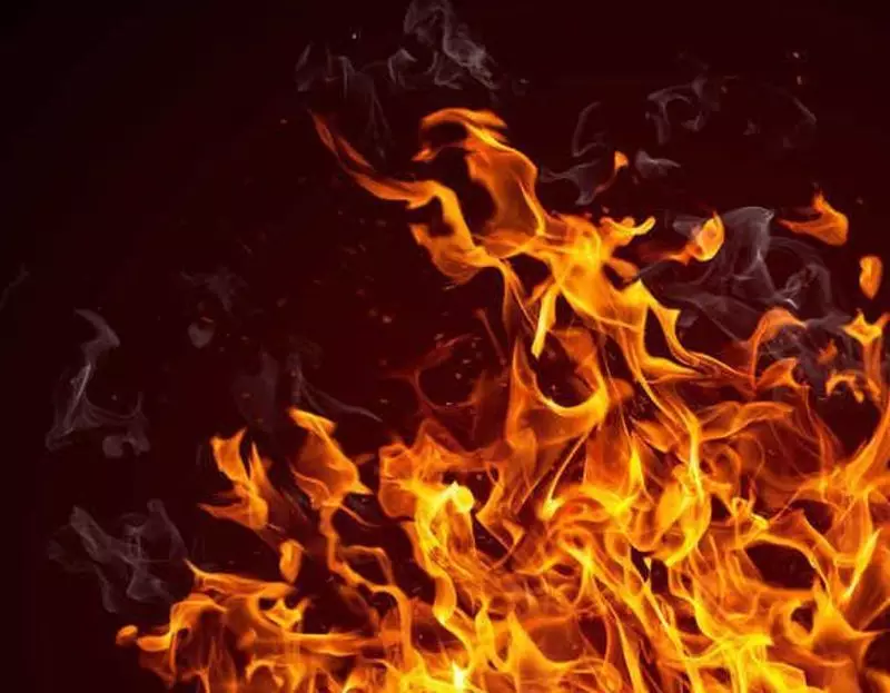 Delhi Firefighters Battle 400+ Diwali Blazes: A Night of Non-Stop Emergency Calls