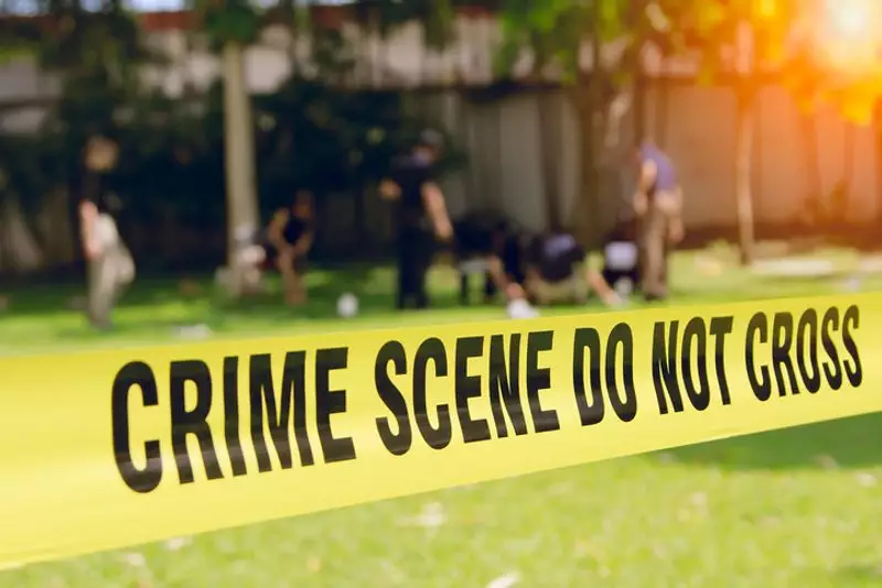 Delhi Horror: Pregnant Woman Brutally Stabbed by Ex-Partner, Husband Kills Attacker in Retaliation