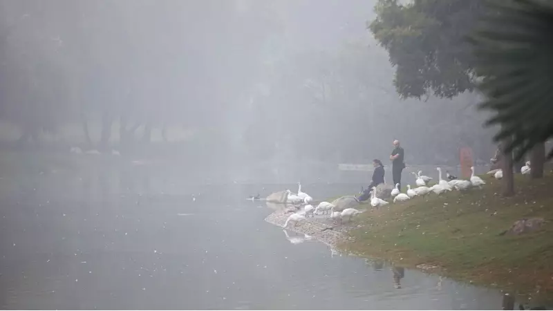 Delhi's October Air Quality Plummets to Second Worst in 5 Years - Shocking AQI Levels Revealed