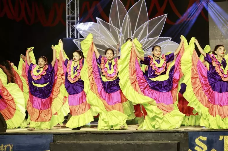 Expressions 2025: DAV Schools Host Annual Cultural Extravaganza
