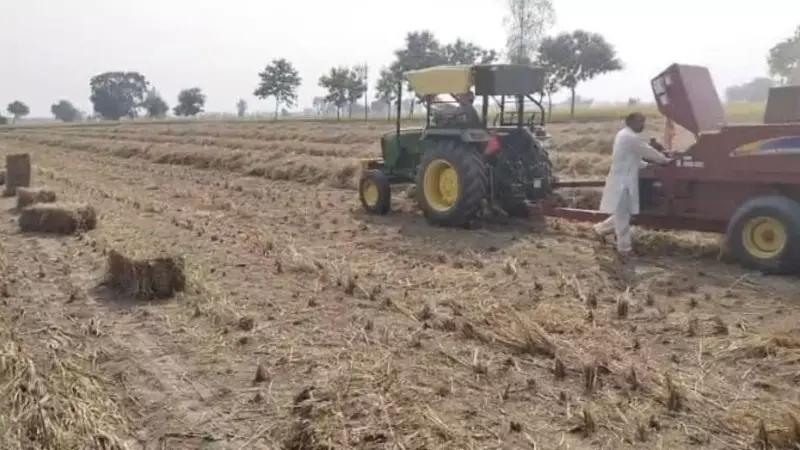 Farmer Faces FIR for Stubble Burning on Diwali in Haryana's Palwal | Environmental Violation