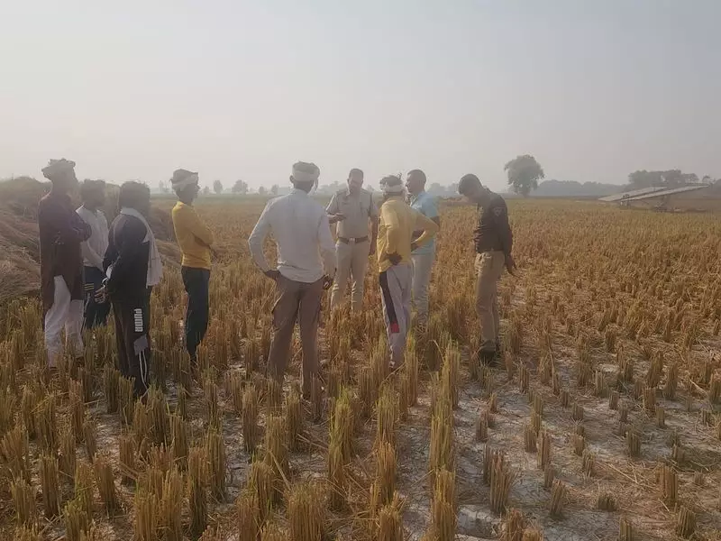 Fatehabad's Farm Fire Crisis: 1,500+ Incidents Spark Health & Political Heat