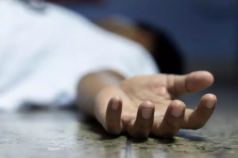Former Punjab Minister's Son, Ex-DGP's Grandson, Passes Away at 33 in Ludhiana
