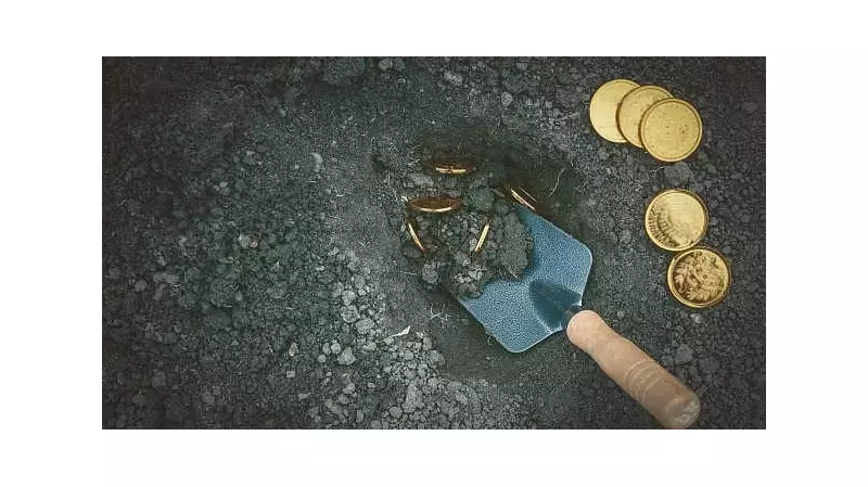 French Man Stumbles Upon Gold Fortune Worth ₹6.6 Crore While Digging Swimming Pool!