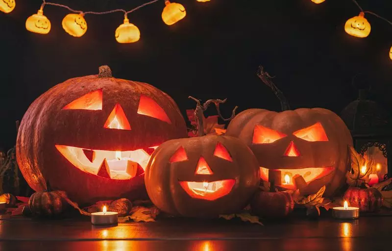 From Irish Turnips to Global Phenomenon: The Spooky Microbial Origin of Jack-O'-Lanterns