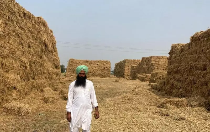 From Parali to Prosperity: How Haryana Farmers Are Turning Stubble Ash Into Gold