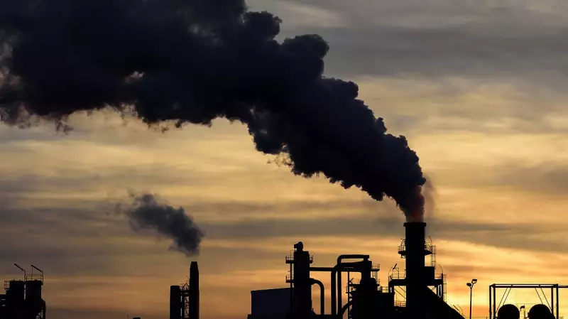Global Carbon Emissions Hit Record High in 2023, Study Reveals