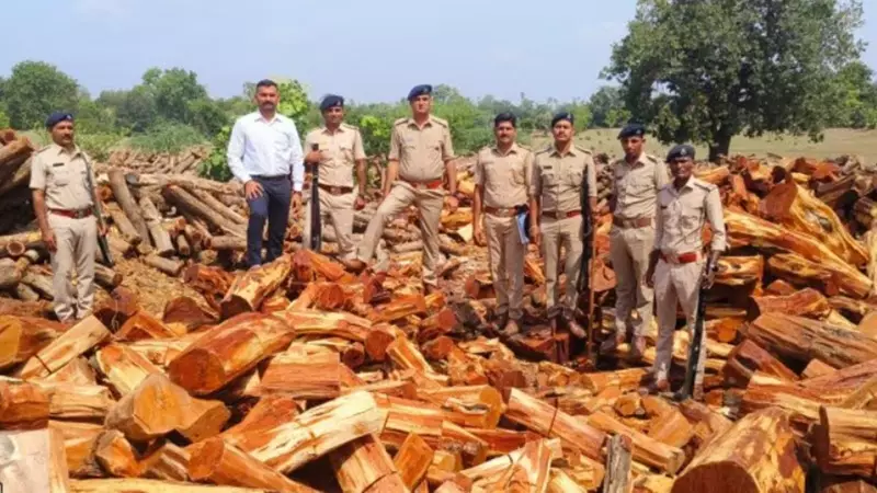 Gujarat Forest Scandal: Officials Suspended After Khair Wood Smuggling Exposed