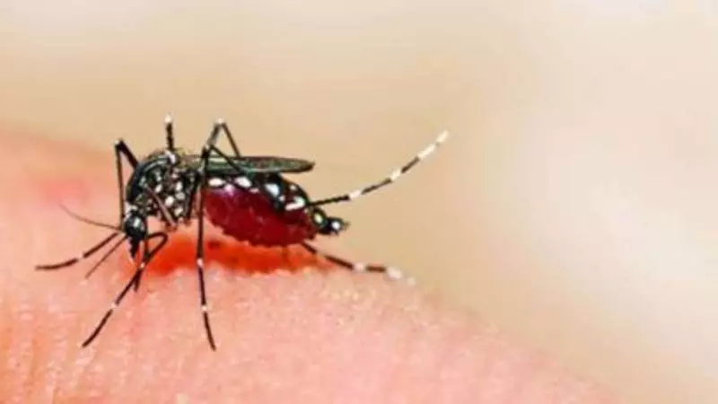 Gurgaon Dengue Alert: Cases Spike With 6 New Infections in One Week