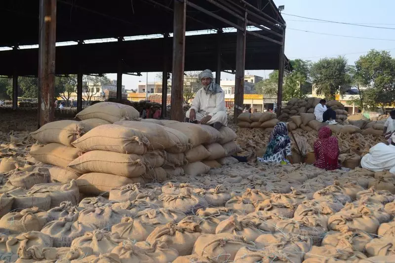 Haryana Cracks Down on Illegal Mining: Special Teams Ramp Up Gate Pass Inspections