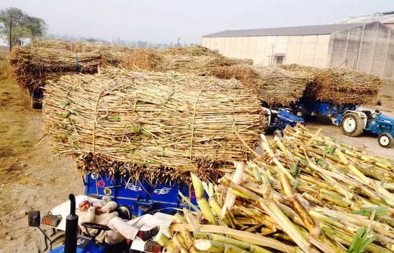 Haryana Farmers Demand Sugar Mills Start, Submit Memorandum