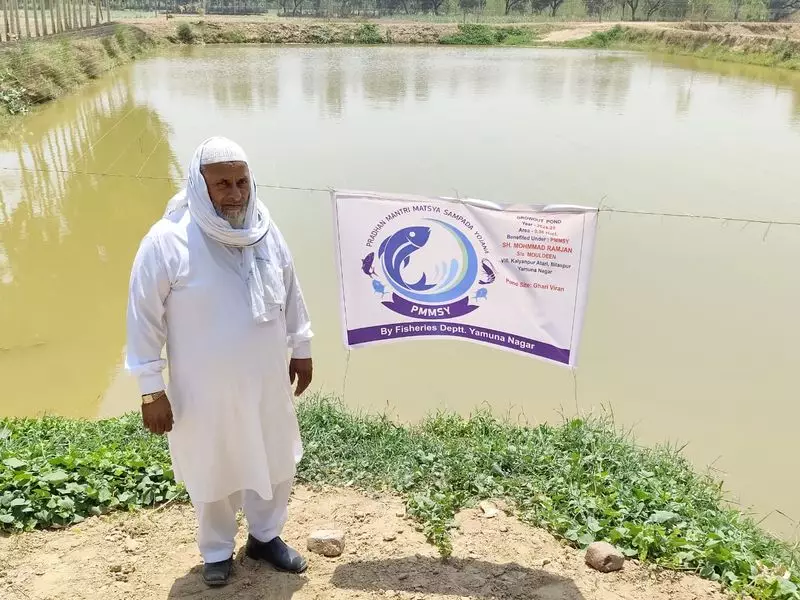 Haryana Fish Farming Booms: High Returns Transform Rural Economy