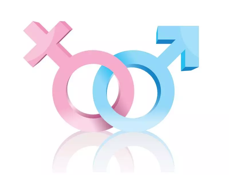 Haryana's Gender Ratio Shows Remarkable Improvement: Jumps from 905 to 913 Girls per 1000 Boys