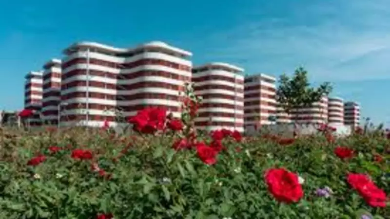 IIT Hyderabad Scholarships 2025: MCM & SC/ST Financial Aid Details