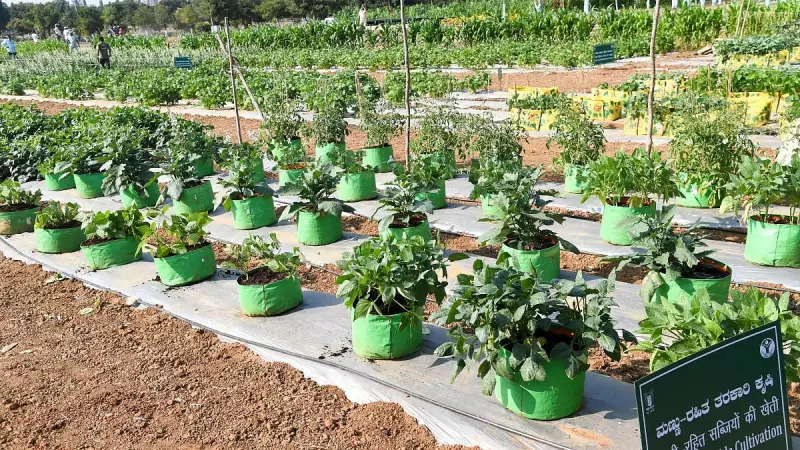 Indian Horticulture Congress 2024 Blooms at Bengaluru's GKVK: A Green Revolution Summit