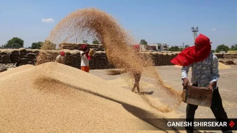 India's Foodgrain Production Hits Record 357 Million Tonnes in 2024-25