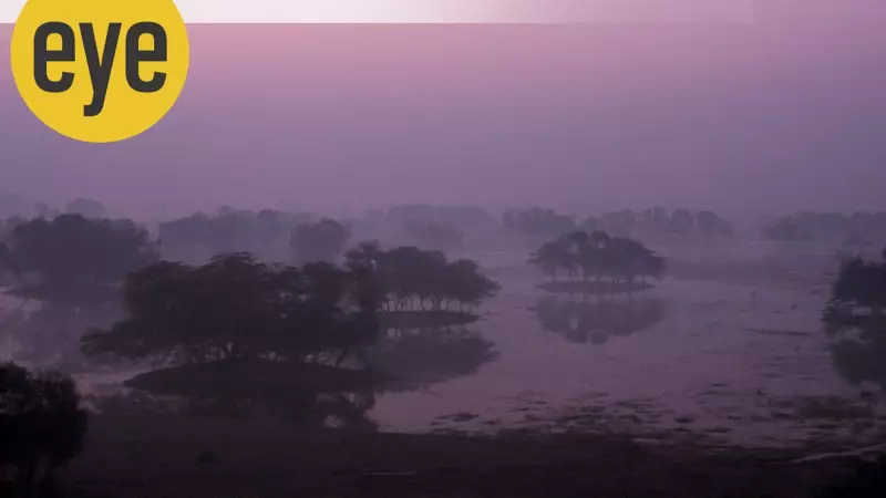 India's Lost Seasons: Where Did Delhi's Crisp Winters and Magical Monsoons Disappear?