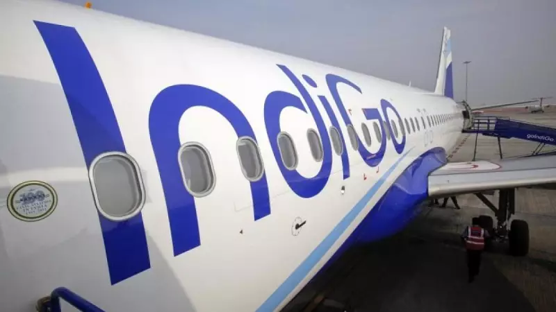 Indigo Aircraft Damaged in Rishikesh Bird Strike, All Passengers Safe