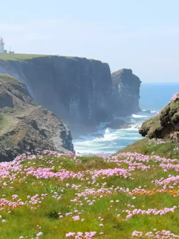 Ireland's Top 7 Must-Visit Destinations: From Cliffs to Culture