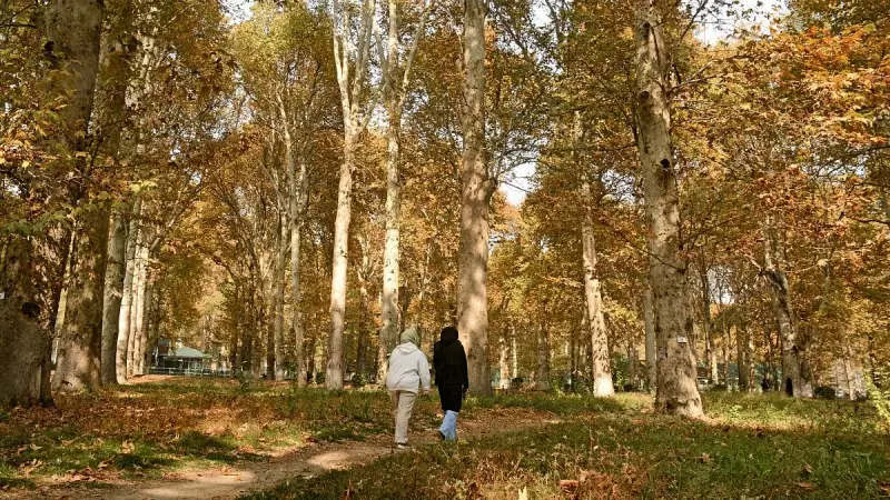 Jammu & Kashmir Sees ₹129 Crore Land Rush: 631 Non-Residents Invest Post Article 370 Revocation